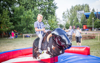 Bucking Bull Darwin